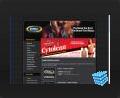 web design thumbnail - Gaspari Branches page